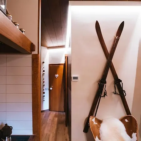 The Nest Ski-in Ski-out With Hammam 布勒伊-切尔维尼亚