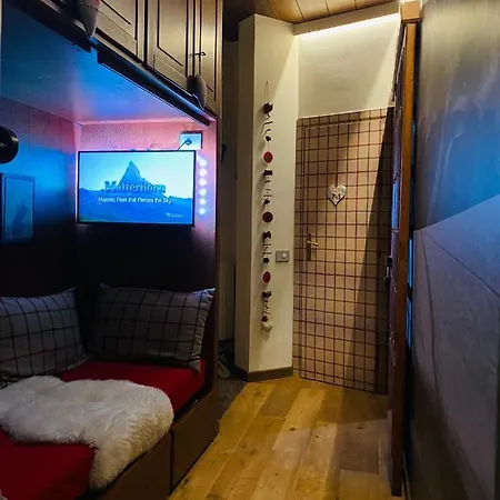 The Nest Ski-in Ski-out With Hammam 布勒伊-切尔维尼亚